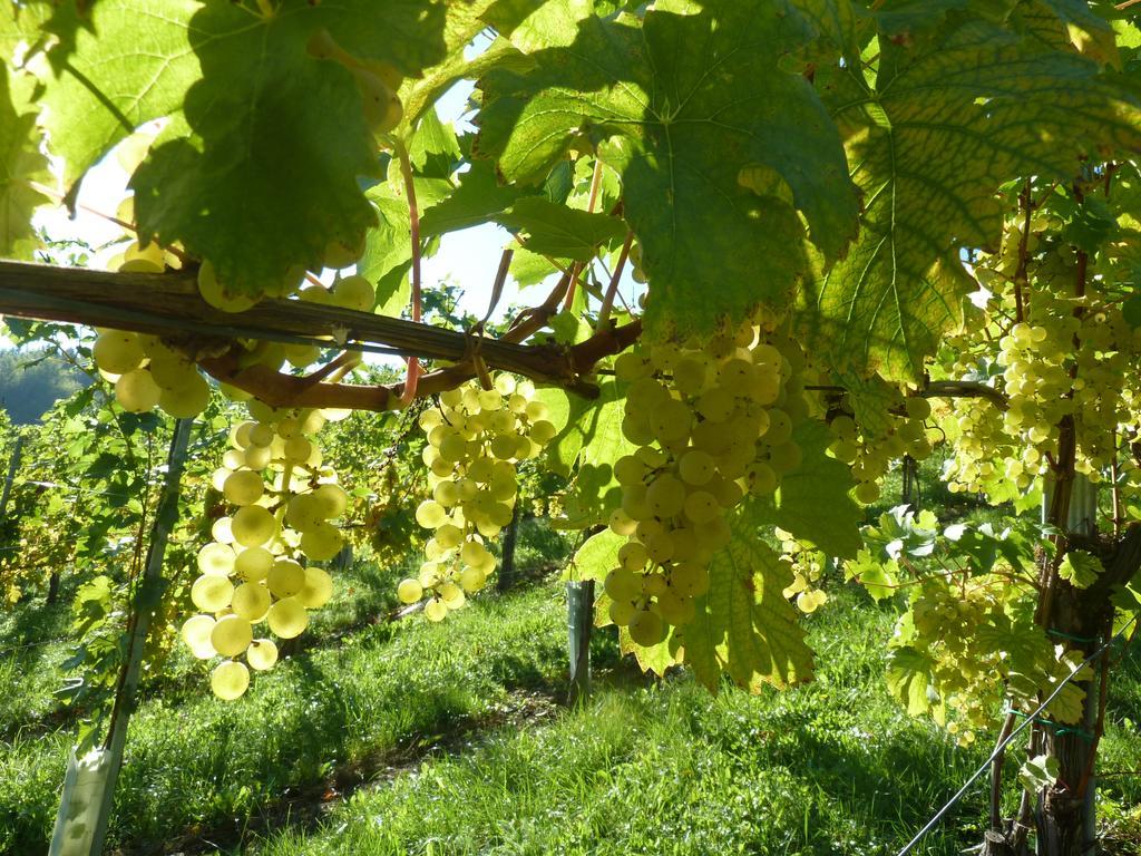 Weingut- Gaestezimmer Marko Лойчах Экстерьер фото