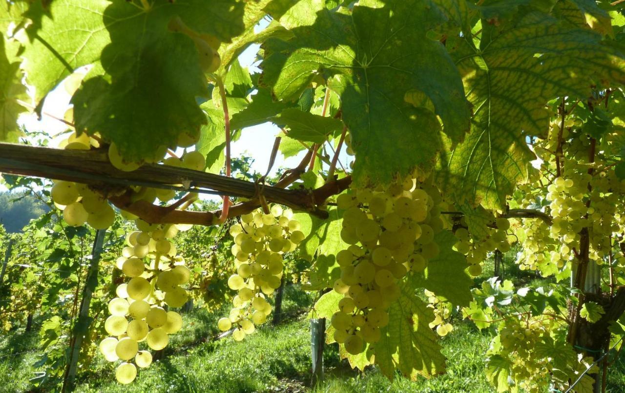 Weingut- Gaestezimmer Marko Лойчах Экстерьер фото